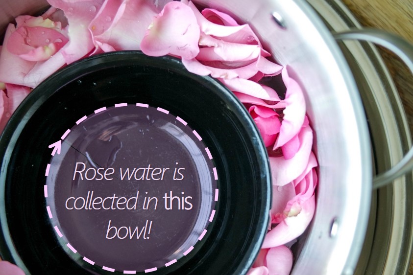 Rose Water DIY